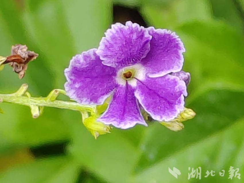 永利摆脱技巧